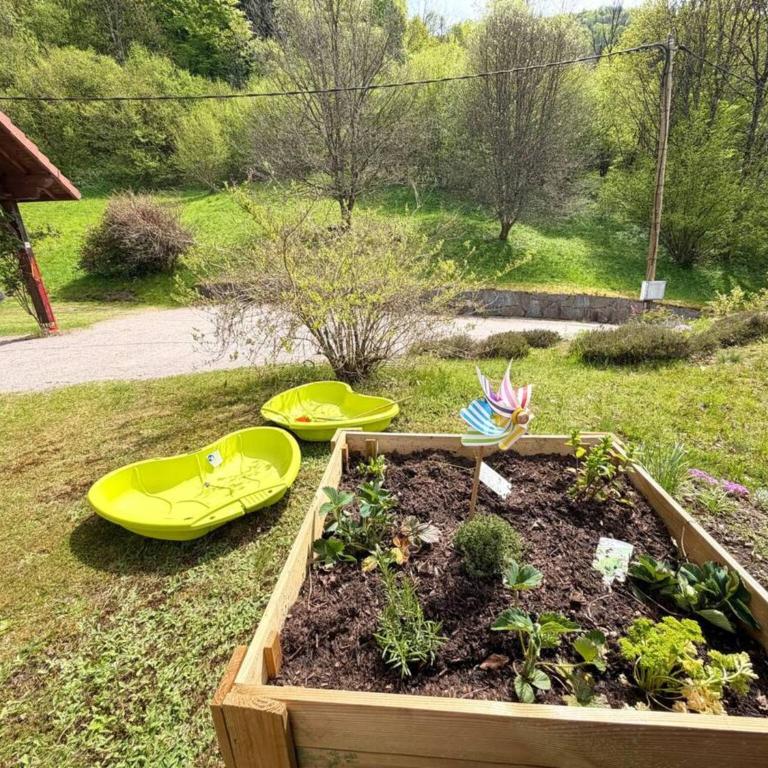 Majestic Forest - refuge paisible - 15 personnes - Chalet - 3