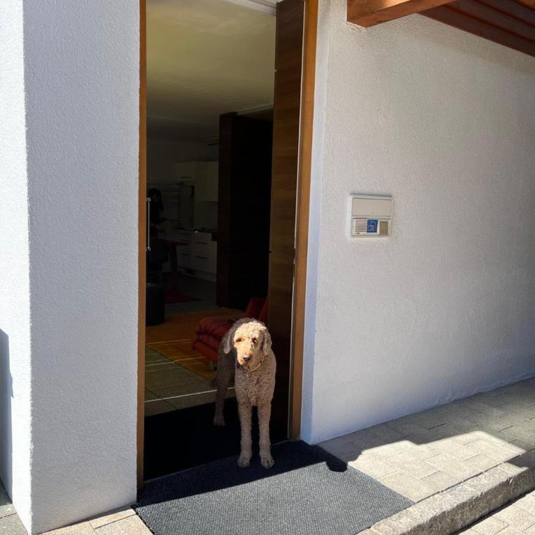 Haus Mühlleiten - Söll - Apartment mit 1 Schlafzimmer und Dusche - 18