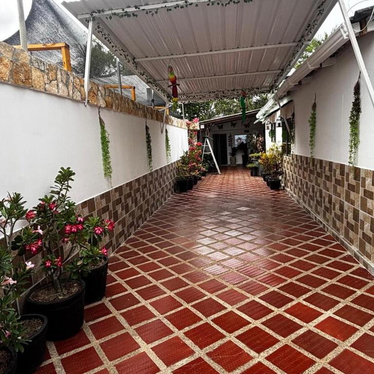 Maxi&Mia Cabañas - One-Bedroom Apartment - 4