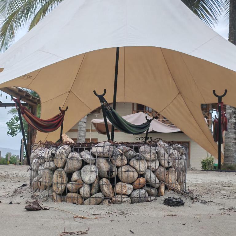 Glampings Boreal - Tent - 7