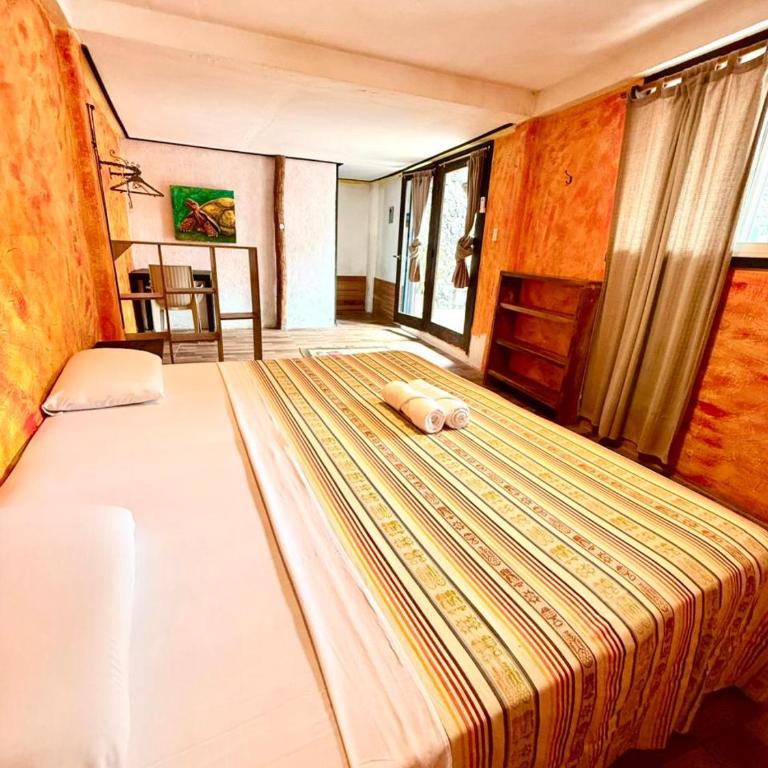 Galapagos Morning Glory - Standard King Room - 2