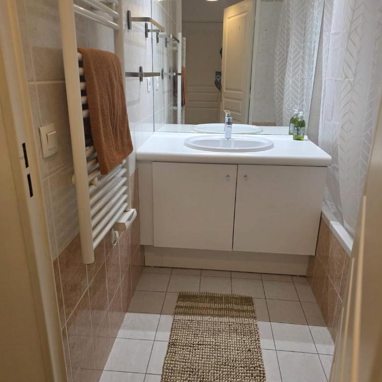 Logement confortable Lyon 3 - Appartement 1 Chambre - 5