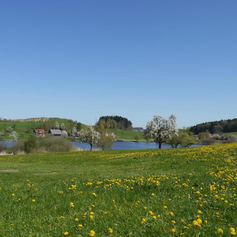 Ferienwohnung Am Alpenblick - One-Bedroom Apartment with Garden View - 21