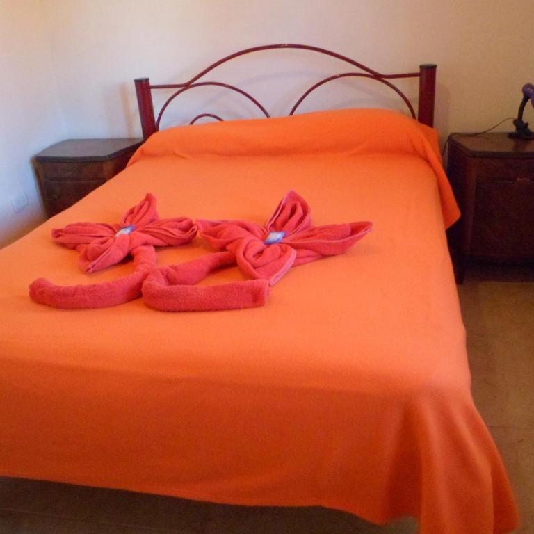 Alquimia - Apartment - 4