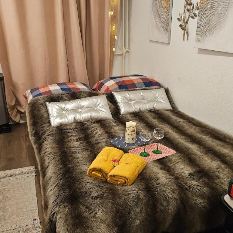 Studio Colmar breakfast shared bathroom - Appartement 1 Chambre - 11