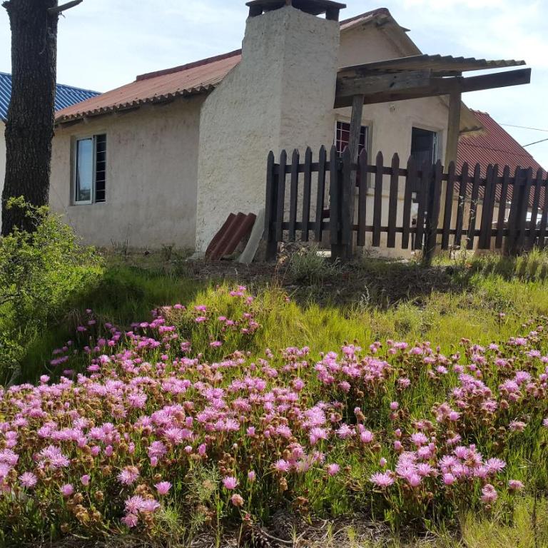 Dipoquito 2 - Casa con 1 dormitorio - 19