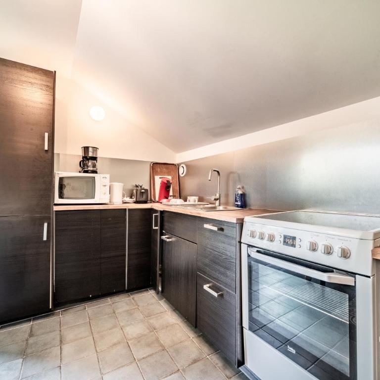Chalet Tante Emma proche Lac Leman - Two-Bedroom Deluxe Apartment with Garden View - 3