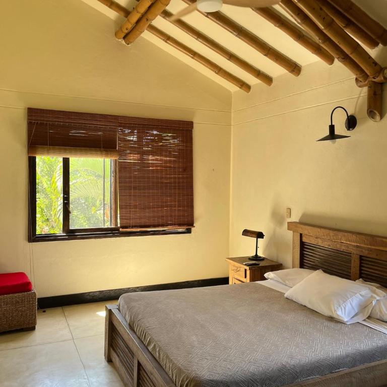 Spectacular property in Panaca, Coffee Region - Villa de 3 dormitorios - 14