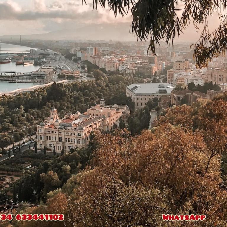 2Bedroom Oasis In Historic Malaga Centre - Apartamento de 1 dormitorio - 8