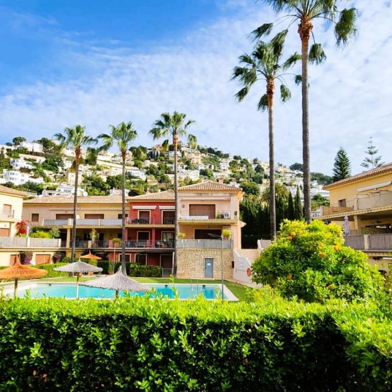 Orange tree - Apartamento de 2 dormitorios - 1