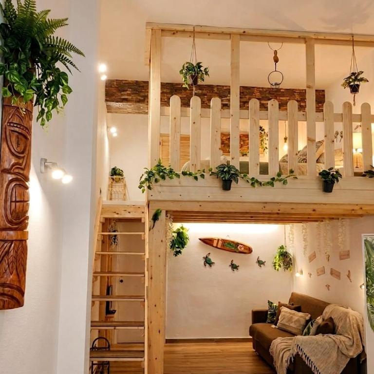 Jungle Loft - Loft - 1