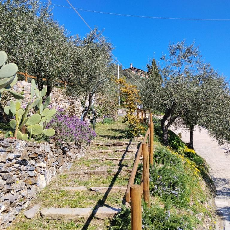 Le Drupe - Casa Vacanze - 46