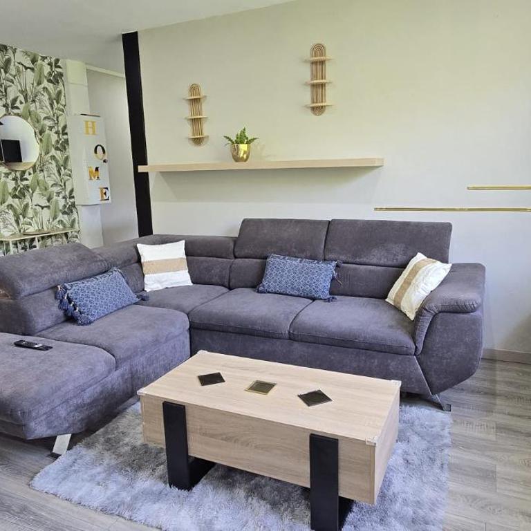 Lourdes Serenity, 8 couchages parking 8mm a pies du sanctuaire - Appartement 2 Chambres - 3