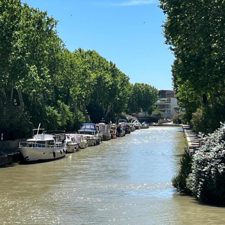 Très bien , cœur de ville historique , Appartement T2 - Apartamento de 1 dormitorio - 11