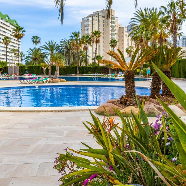 Coral Beach Inftour Apartamento - Apartamento de 2 dormitorios - 1