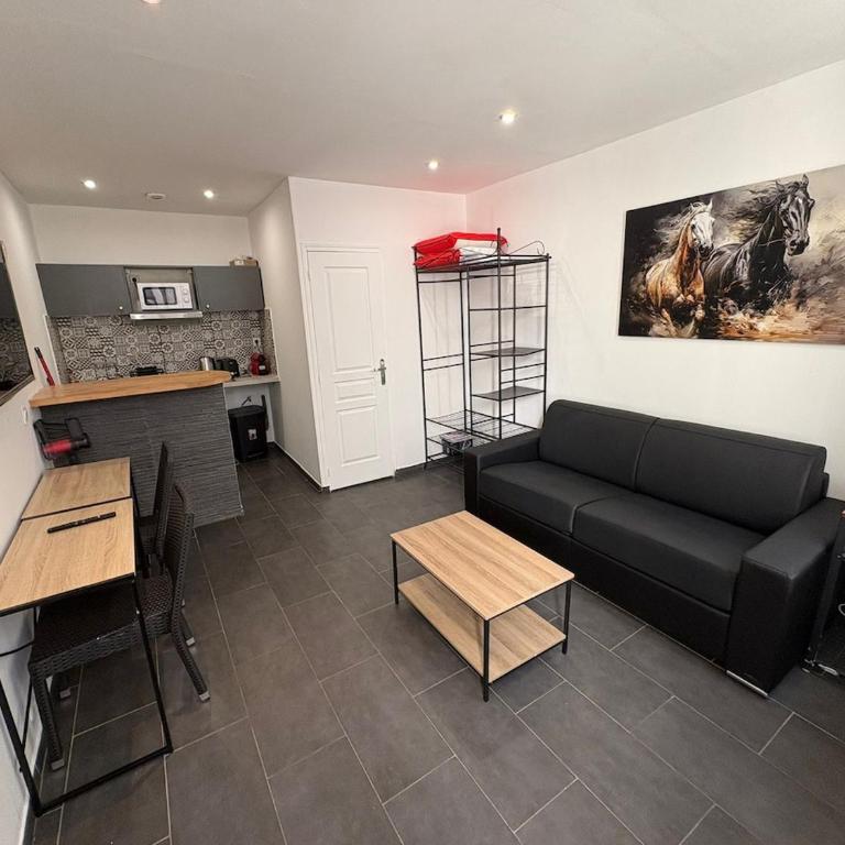 Studio Le Lotus Charme Vieux Orléans - One-Bedroom Apartment - 1