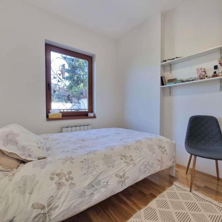 The Golden Nest - One-Bedroom Apartment - 10