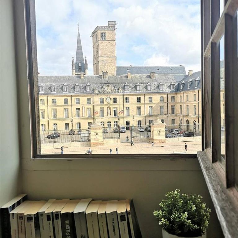 Le Dentan, au centre historique de Dijon - Appartement - 6