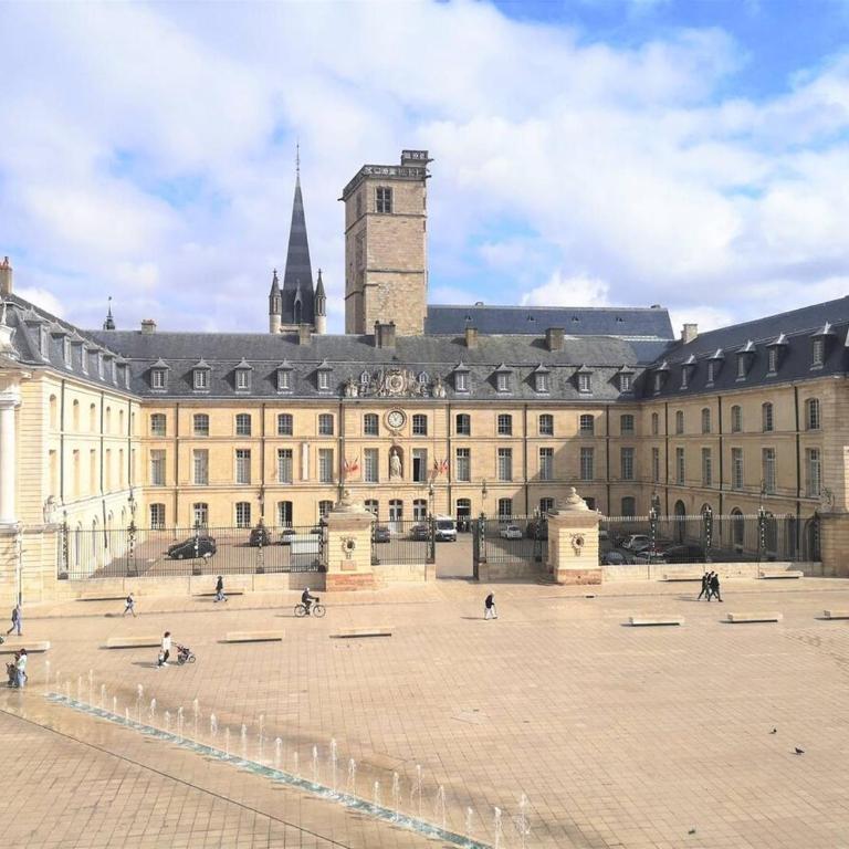 Le Dentan, au centre historique de Dijon - Appartement - 12