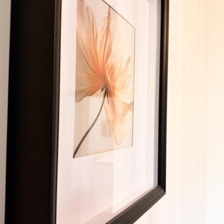 Le T2 de Plain-Pied - Appartement 1 Chambre - 2