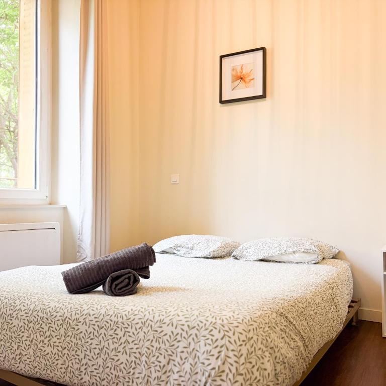 Le T2 de Plain-Pied - Appartement 1 Chambre - 10
