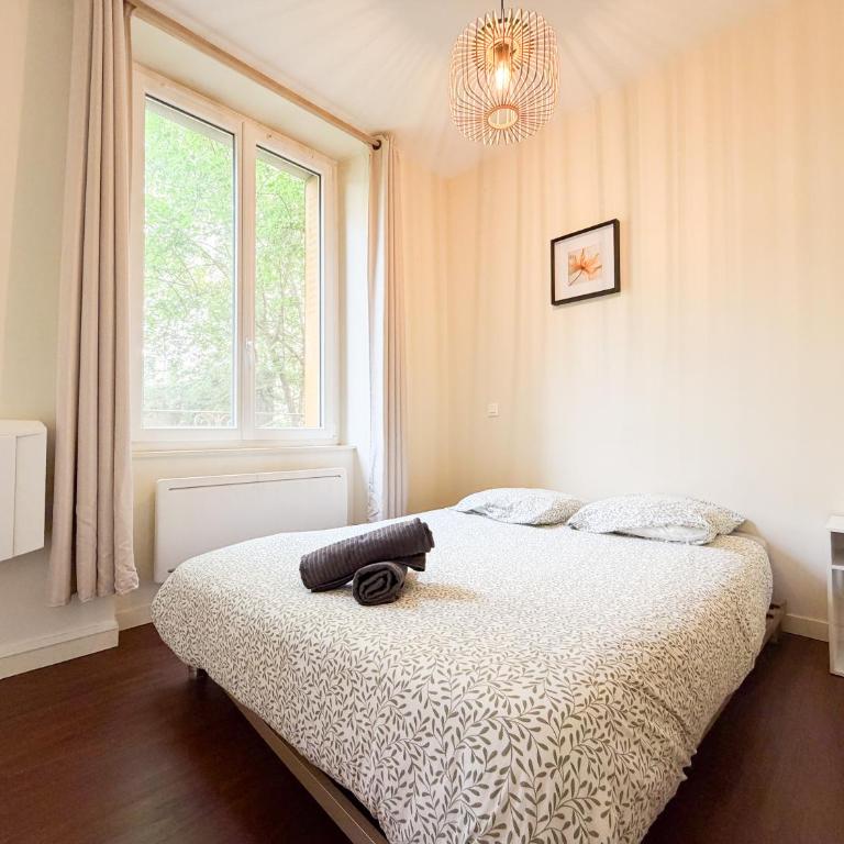 Le T2 de Plain-Pied - Appartement 1 Chambre - 21
