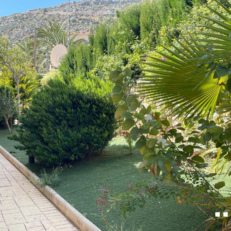 VH CostaBlanca - MARYVILLA - Villa - 43