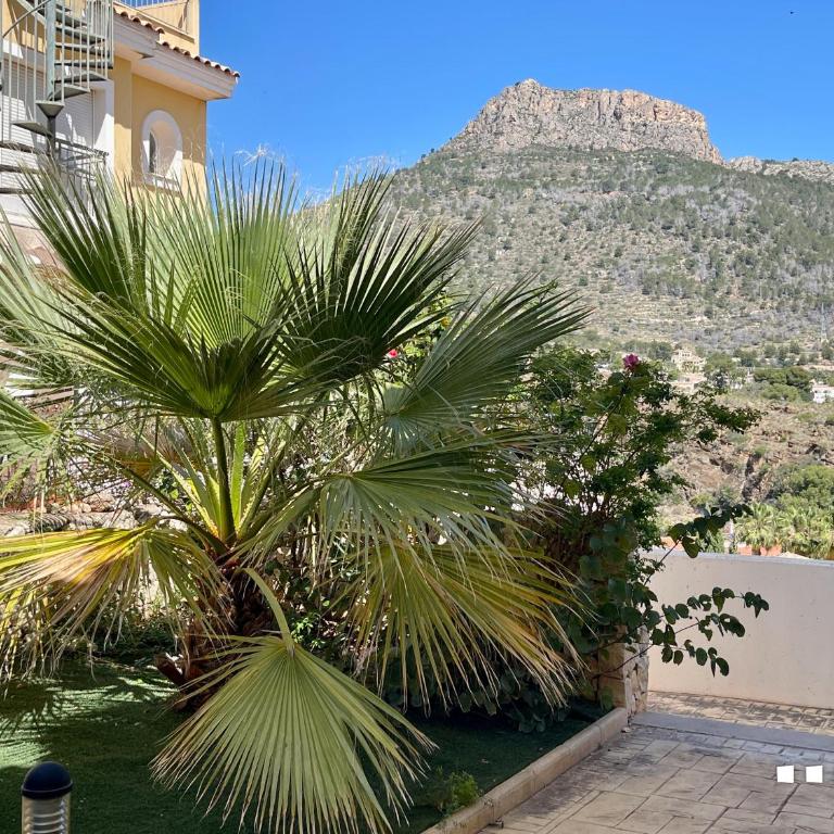 VH CostaBlanca - MARYVILLA - Villa - 42