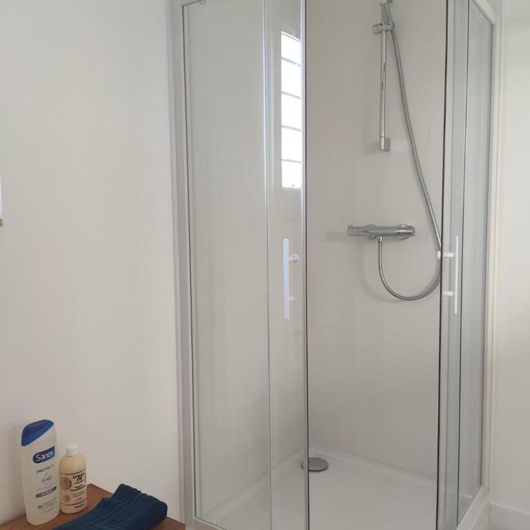 Angers Lumiere - Le Spot T5 - Appartement - 17