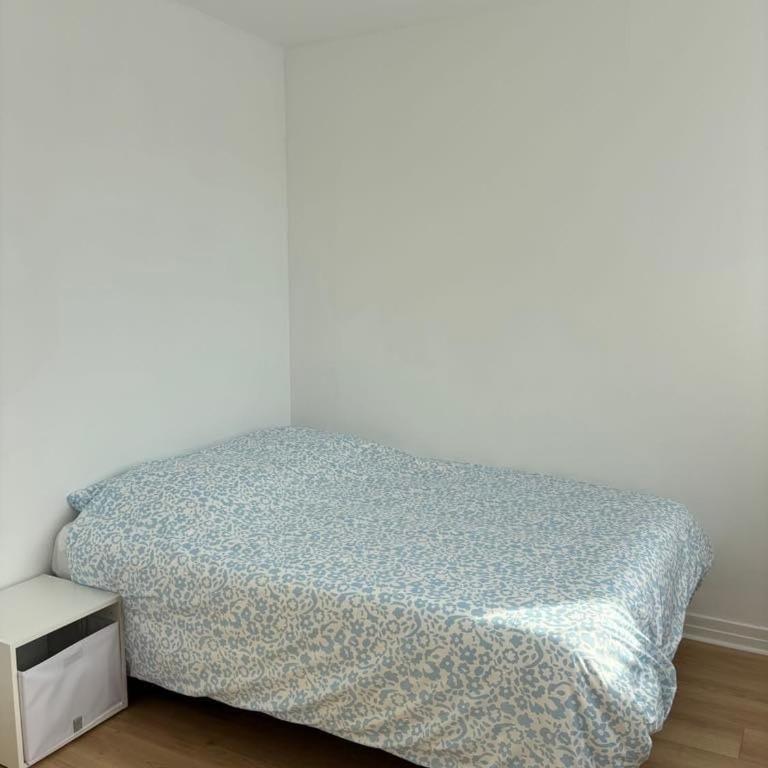 Angers Lumiere - Le Spot T5 - Appartement - 42