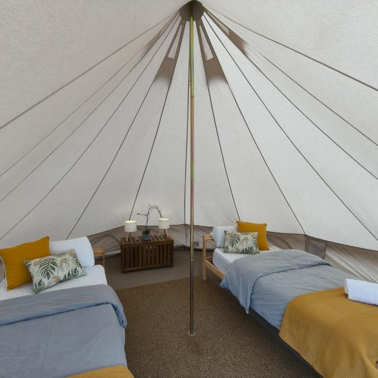 Adeje - TwinFin Hostel & Surf Yoga Camp - Tienda - 1