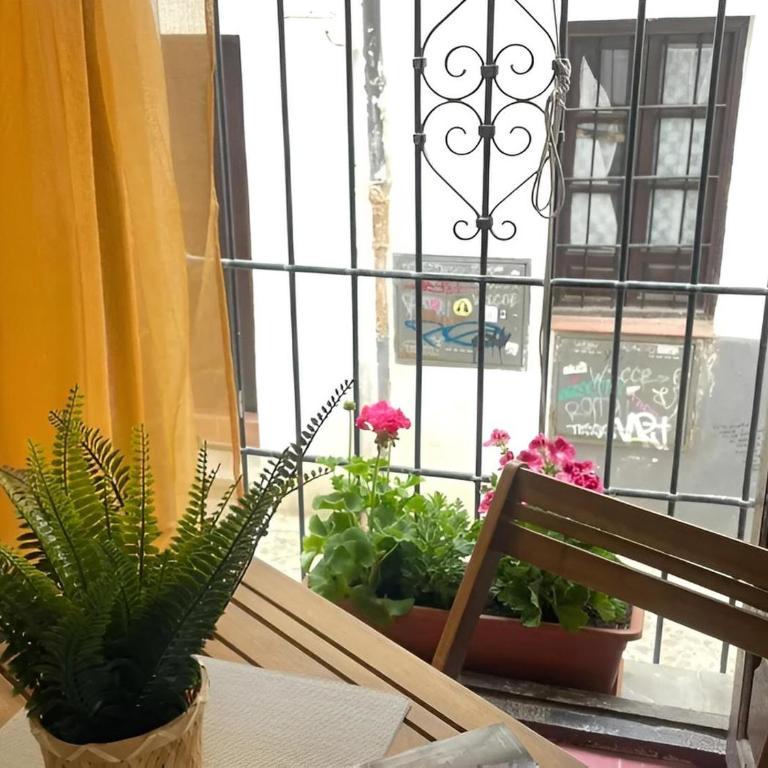 Mirador Ojo de Granada pleno Albaicín y Centro - One-Bedroom Apartment - 3
