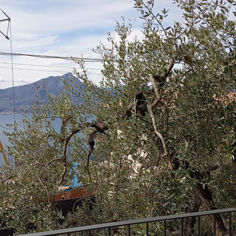 Punta sul Garda - Two-Bedroom House - 11
