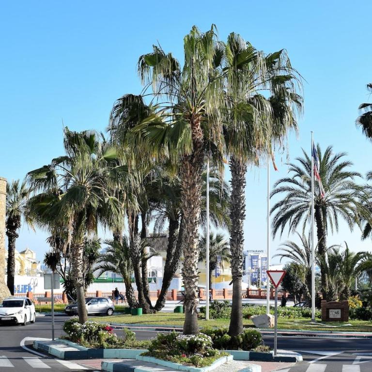 Penthouse with Two Terraces, Sea & Mountain Views - Apartamento de 2 dormitorios - 17