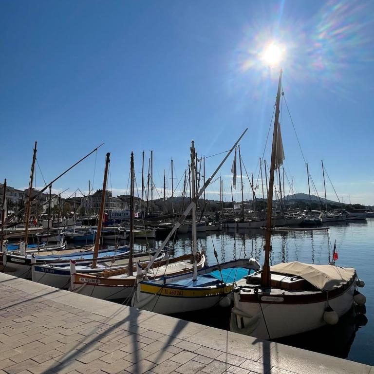 Cocoon élégant - Terrasse, plages à pied et pkg privé - Apartamento de 1 dormitorio - 19