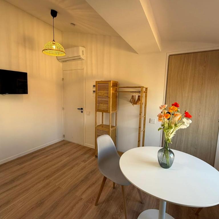 Viel Antibes - studio rénové & plein de charme - Studio - 8