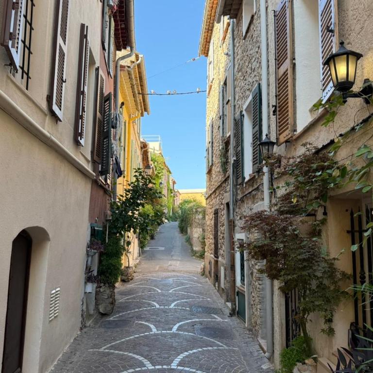 Viel Antibes - studio rénové & plein de charme - Studio - 14