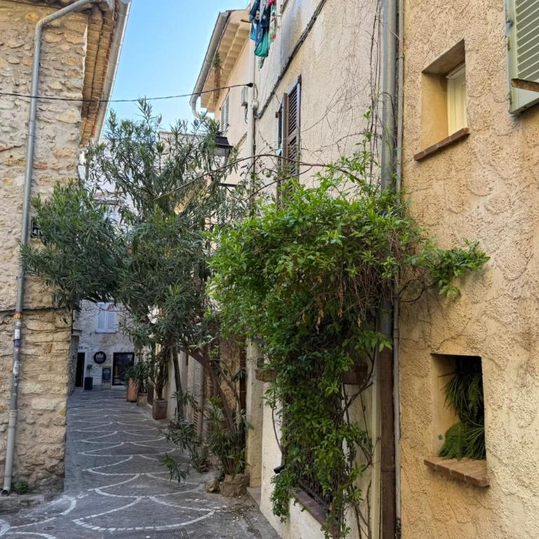 Viel Antibes - studio rénové & plein de charme - Studio - 15