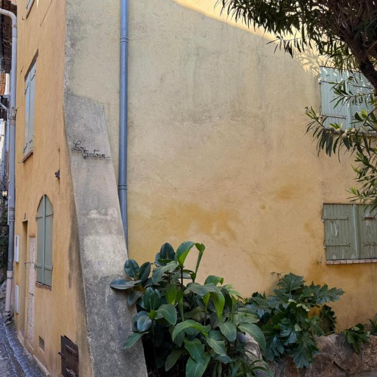 Viel Antibes - studio rénové & plein de charme - Studio - 16