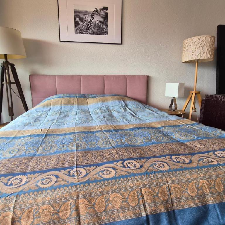 Sunny Terrace Oasis with Mont Blanc View in Central Geneva - Appartement 2 Chambres - 11