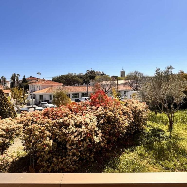 Appartement 2 chambres proche plages - Apartment - 5