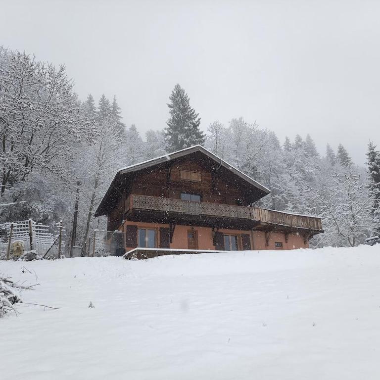Appartement en montagne, chien de traineaux 777 route de morsullaz - Appartement 1 Chambre - 12