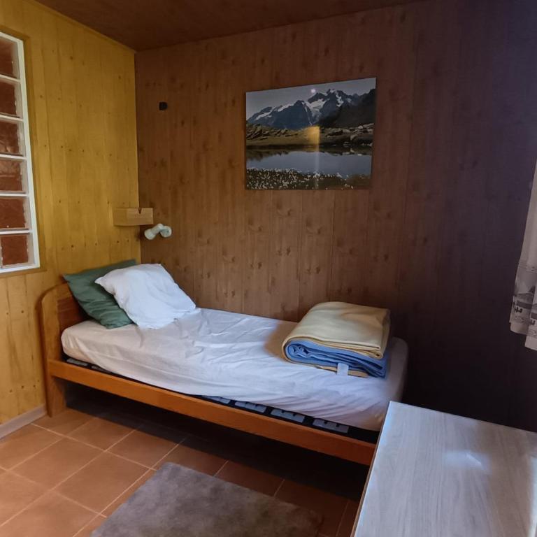 Grand Chalet de 150 m avec vue sur les pistes - Chalet - 12