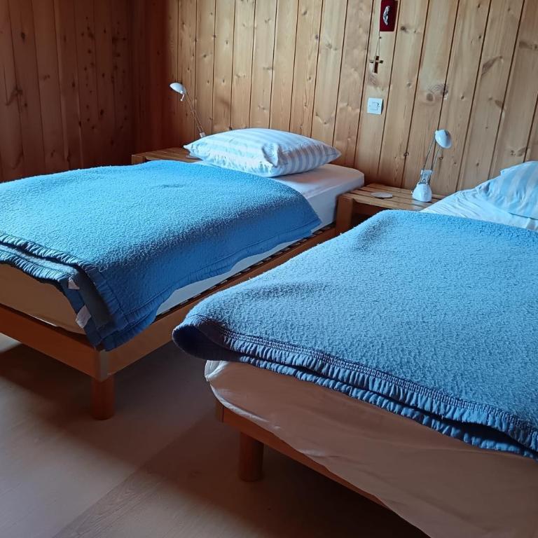 Grand Chalet de 150 m avec vue sur les pistes - Chalet - 14