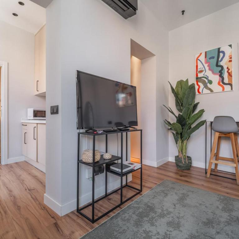 Modern Bright - 1Bedroom 1 Bathroom - La Latina - Apartment - 12