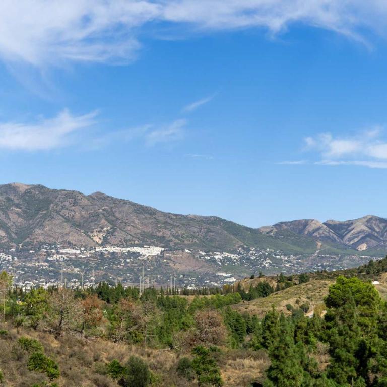 Stunning ground floor apartment -ref 71 - Apartamento - 26