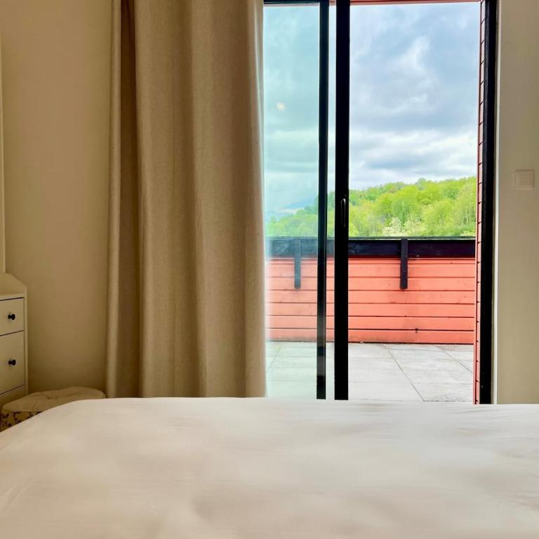 Sanctuary Penthouse 15 pers Mountain Panorama - Apartment - 21