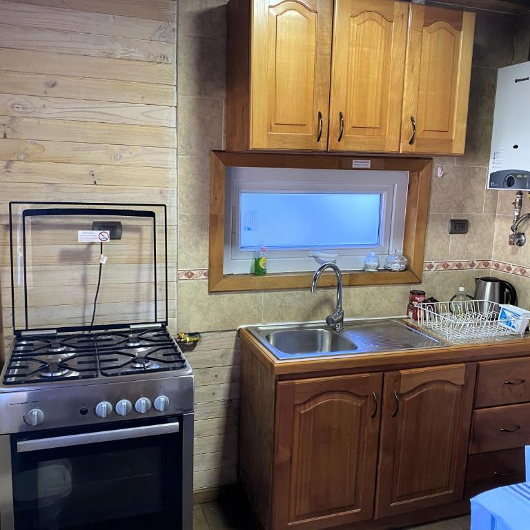 Cabañas en Malalcahuello con agradable Barbacoa y 2 Estacionamientos Techados - Two-Bedroom House - 17