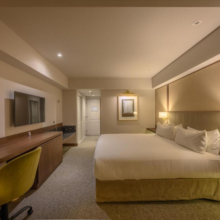 Holiday Inn Cordoba by IHG - Habitación Premium con cama extragrande y vistas a la montaña - 10