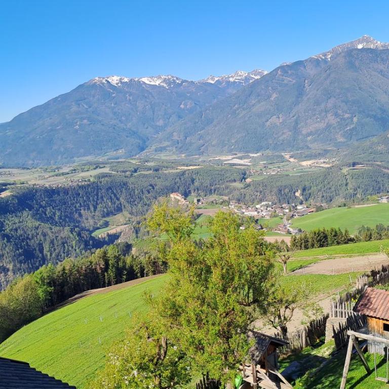 Galtinerhof - Apartamento Deluxe de 2 dormitorios con vistas al jardín - 28